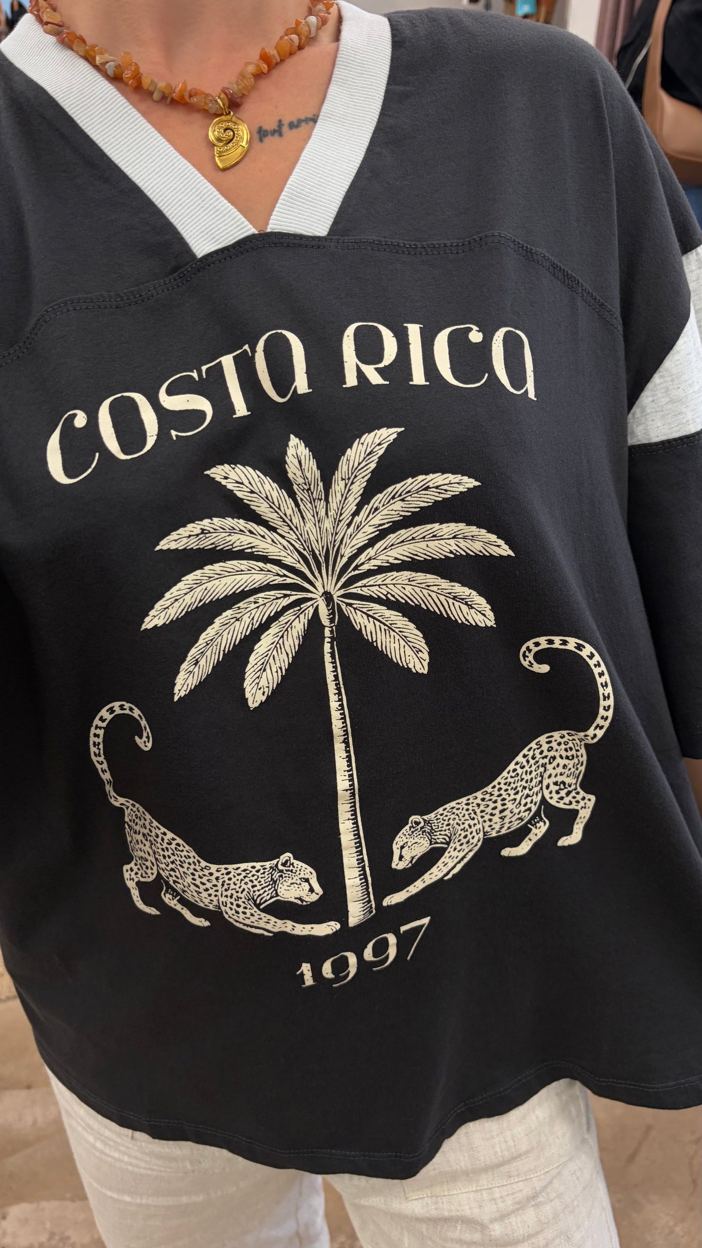 Costa Rica Tee - PaperHeart 

The Costa Rica Tee features a structured, oversized fit with a V-neckline, providing comfort and breathability. Its black-grey colorway highlights a detailed graphic print of a leopard and palm tree, reflecting Costa Rica's natural environment. The design balances style with casual versatility.