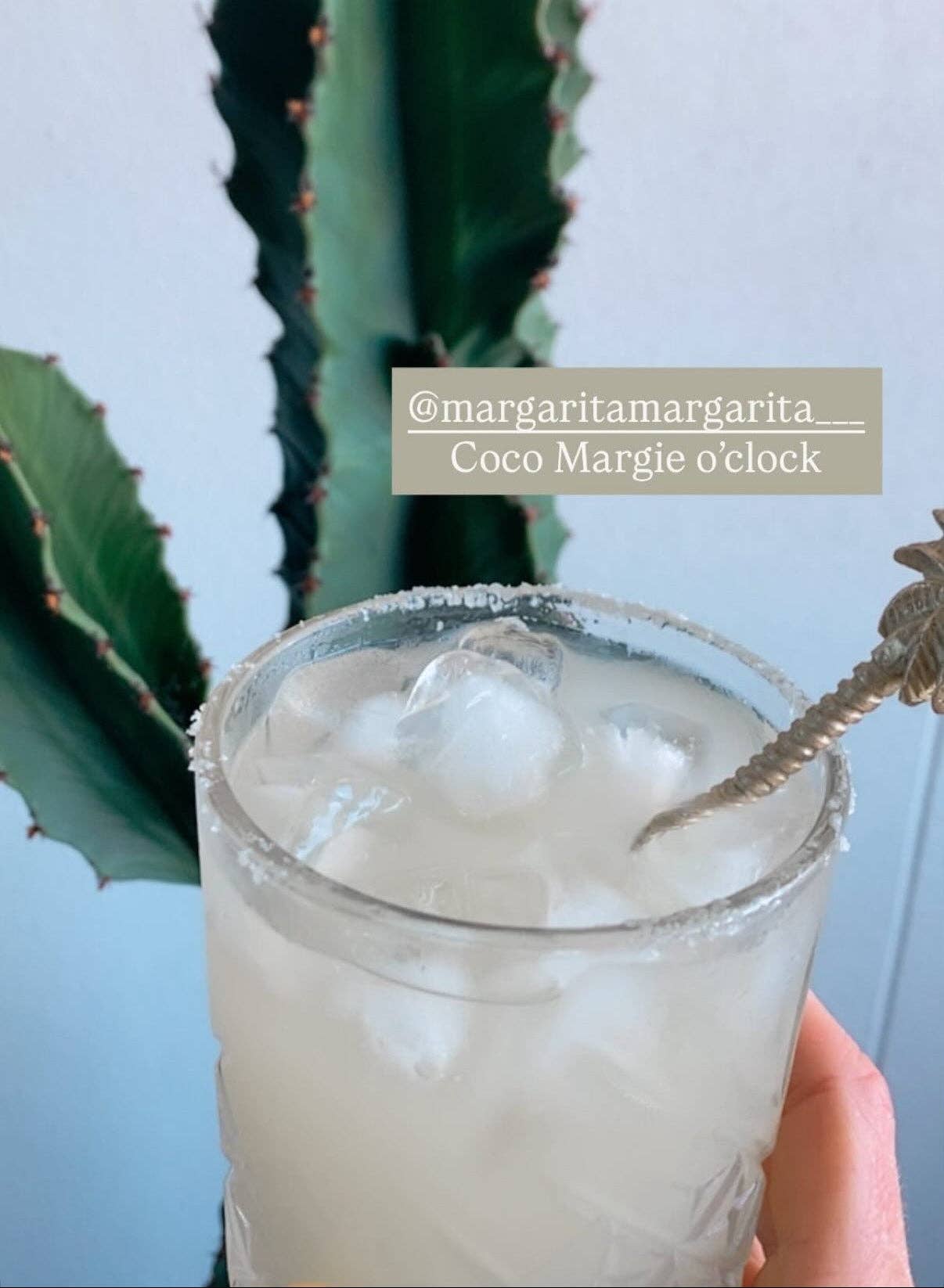 The Coconut Margarita Mix 1L - 15 Serves
